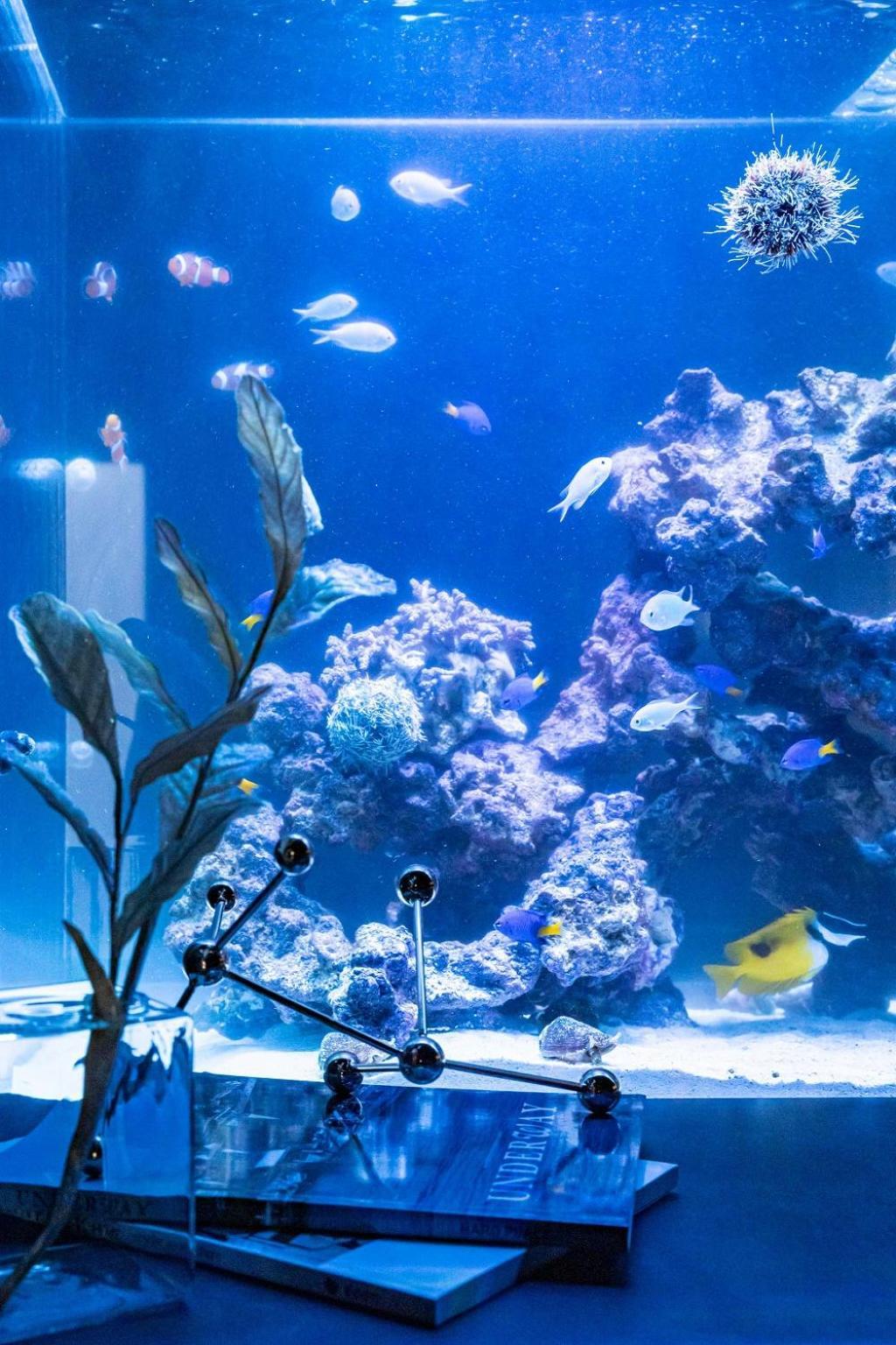 大阪市 Japavista Aquaヴィラ エクステリア 写真
